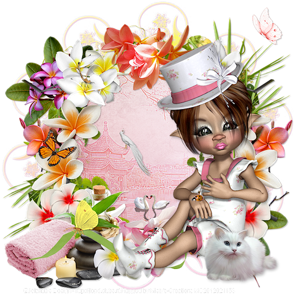 psp lessen mistys-creations.nl