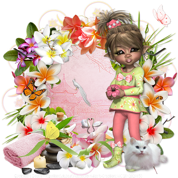 psp lessen mistys-creations.nl