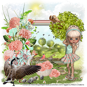 psp lessen mistys-creations.nl