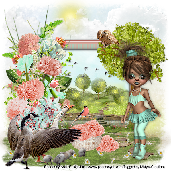 psp lessen mistys-creations.nl