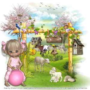 psp lessen mistys-creations.nl