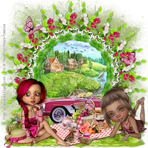 psp lessen mistys-creations.nl