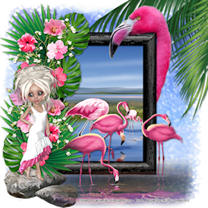 psp lessen mistys-creations.nl
