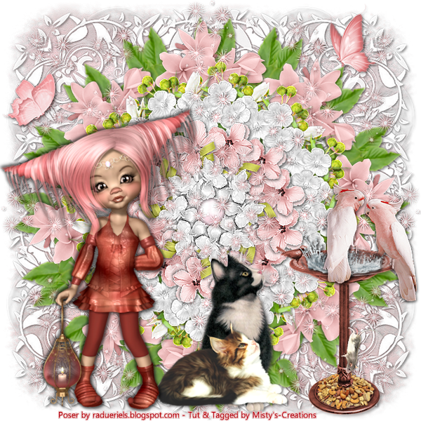 psp lessen mistys-creations.nl