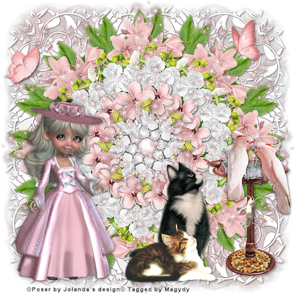 psp lessen mistys-creations.nl