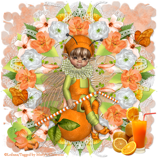 psp lessen mistys-creations.nl
