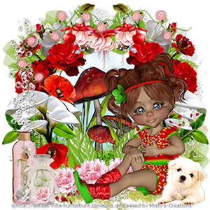 psp lessen mistys-creations.nl