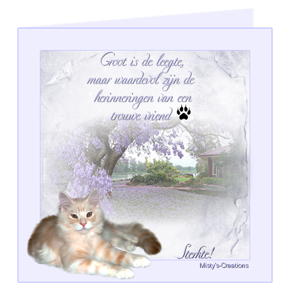 psp lessen mistys-creations.nl