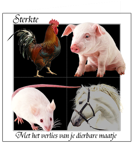 psp lessen mistys-creations.nl