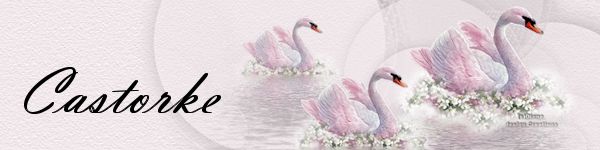 mistys-creations.nl